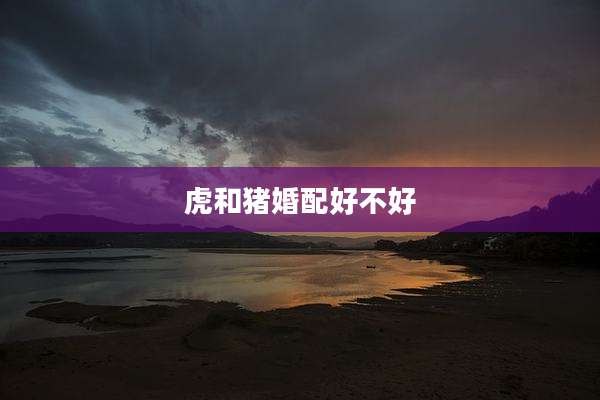 虎和猪婚配好不好