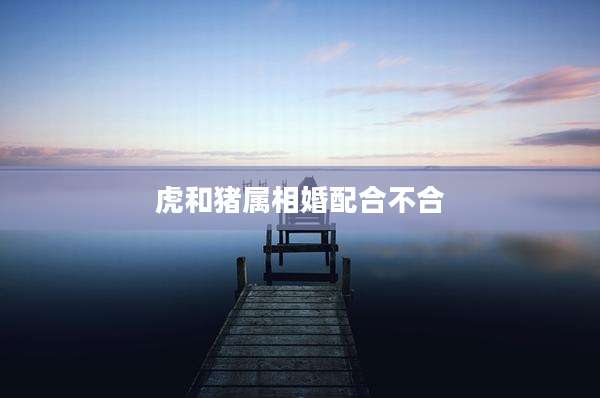 虎和猪属相婚配合不合
