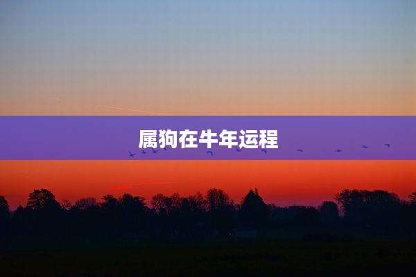 属狗在牛年运程