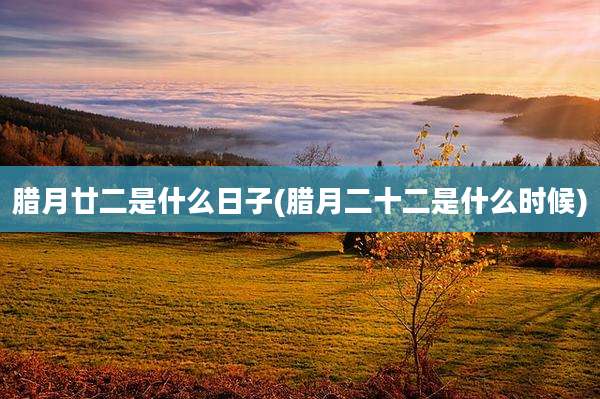 腊月廿二是什么日子(腊月二十二是什么时候)