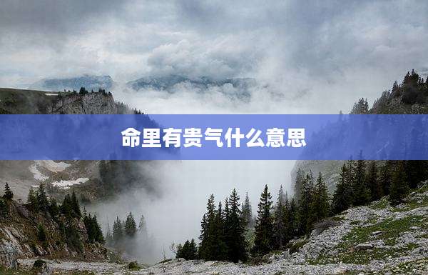 命里有贵气什么意思