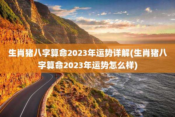 生肖猪八字算命2023年运势详解(生肖猪八字算命2023年运势怎么样)