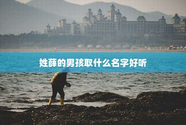 姓薛的男孩取什么名字好听