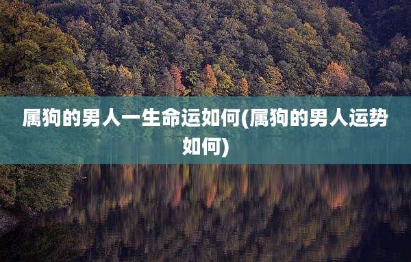 属狗的男人一生命运如何(属狗的男人运势如何)