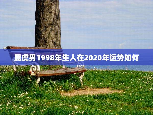 属虎男1998年生人在2020年运势如何