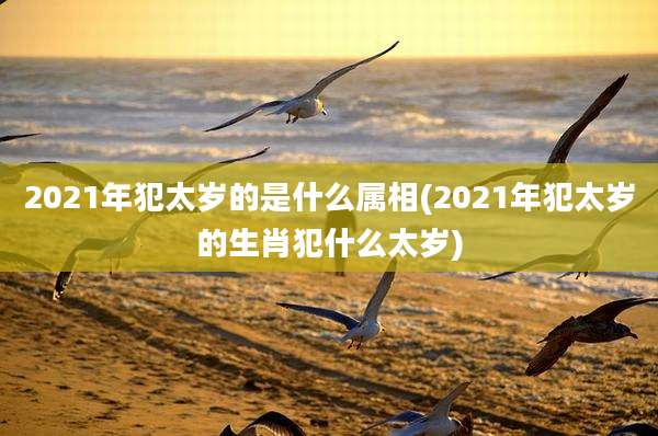 2021年犯太岁的是什么属相(2021年犯太岁的生肖犯什么太岁)