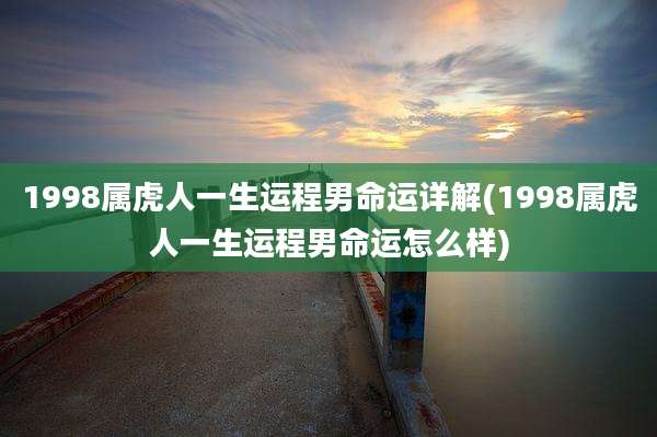 1998属虎人一生运程男命运详解(1998属虎人一生运程男命运怎么样)