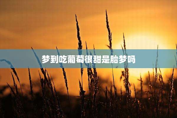 梦到吃葡萄很甜是胎梦吗