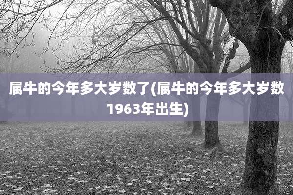 属牛的今年多大岁数了(属牛的今年多大岁数1963年出生)