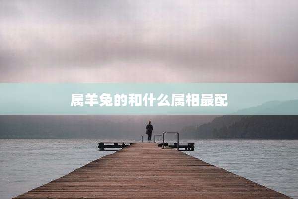 属羊兔的和什么属相最配