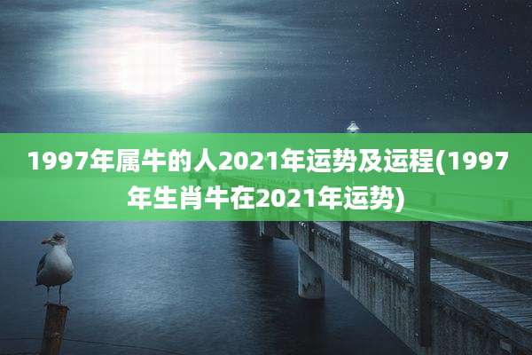 1997年属牛的人2021年运势及运程(1997年生肖牛在2021年运势)