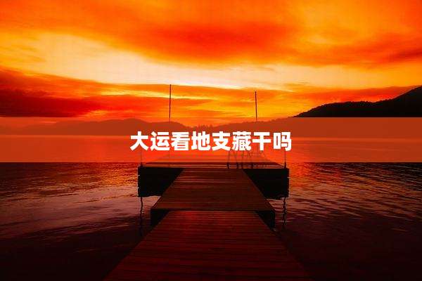 大运看地支藏干吗