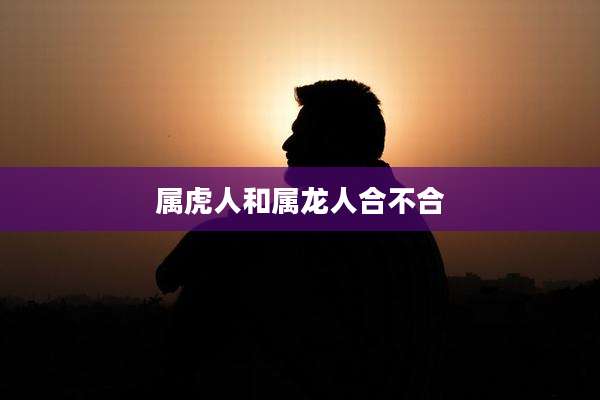 属虎人和属龙人合不合