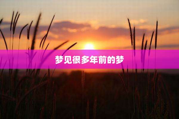 梦见很多年前的梦