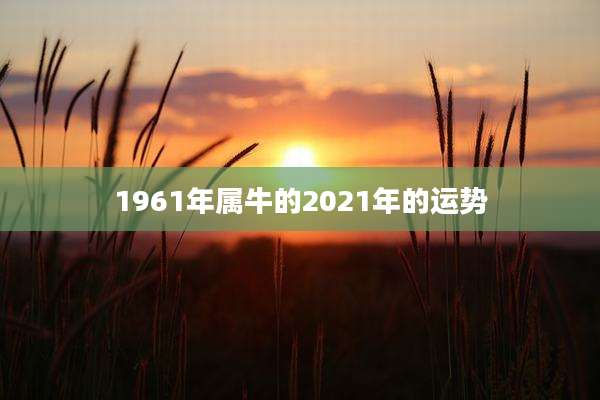 1961年属牛的2021年的运势