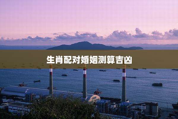 生肖配对婚姻测算吉凶