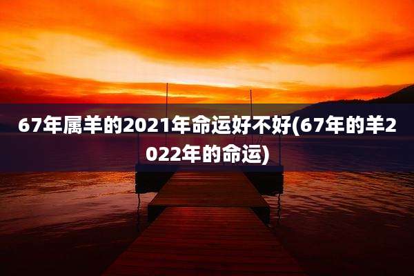 67年属羊的2021年命运好不好(67年的羊2022年的命运)
