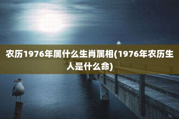 农历1976年属什么生肖属相(1976年农历生人是什么命)