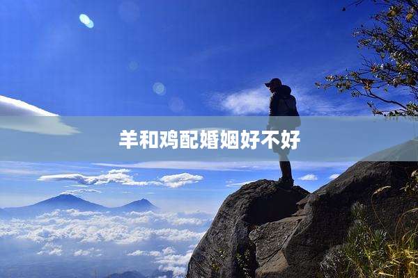 羊和鸡配婚姻好不好