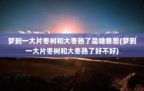 梦到一大片枣树和大枣熟了是啥意思(梦到一大片枣树和大枣熟了好不好)