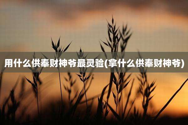 用什么供奉财神爷最灵验(拿什么供奉财神爷)