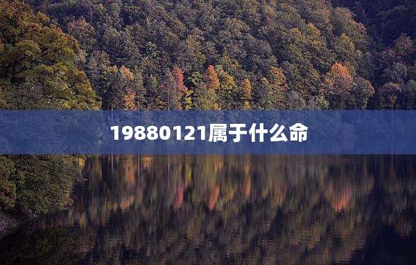19880121属于什么命
