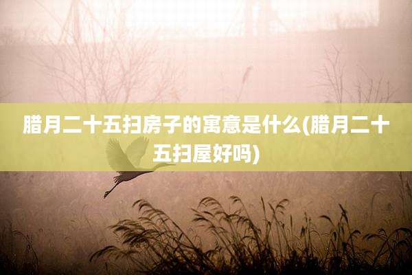 腊月二十五扫房子的寓意是什么(腊月二十五扫屋好吗)