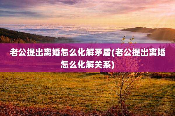 老公提出离婚怎么化解矛盾(老公提出离婚怎么化解关系)