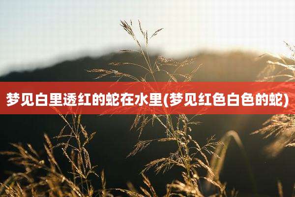 梦见白里透红的蛇在水里(梦见红色白色的蛇)