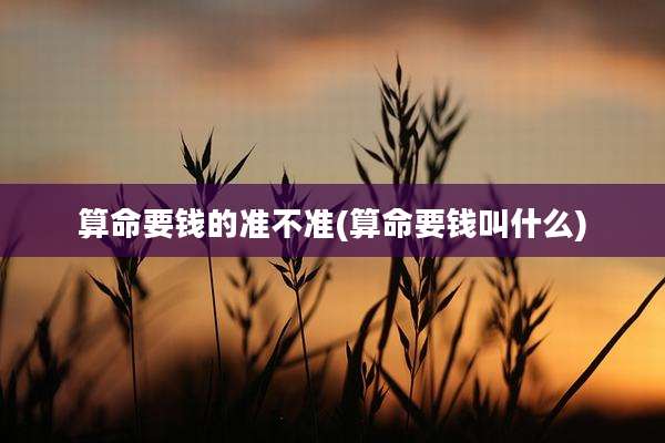 算命要钱的准不准(算命要钱叫什么)