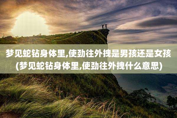 梦见蛇钻身体里,使劲往外拽是男孩还是女孩(梦见蛇钻身体里,使劲往外拽什么意思)