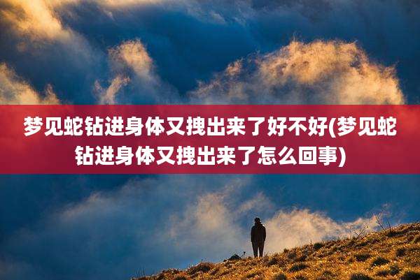 梦见蛇钻进身体又拽出来了好不好(梦见蛇钻进身体又拽出来了怎么回事)