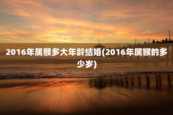 2016年属猴多大年龄结婚(2016年属猴的多少岁)