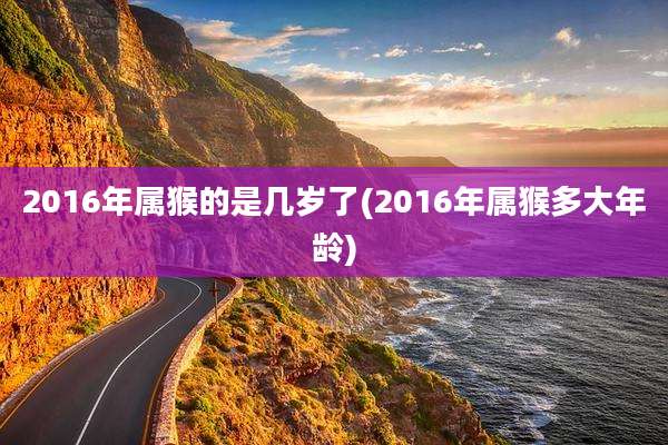 2016年属猴的是几岁了(2016年属猴多大年龄)