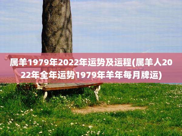 属羊1979年2022年运势及运程(属羊人2022年全年运势1979年羊年每月牌运)