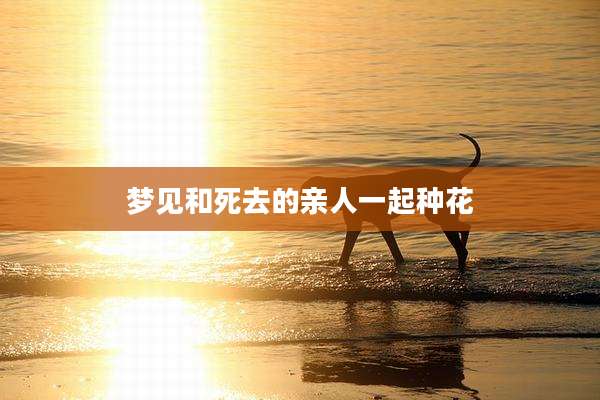 梦见和死去的亲人一起种花