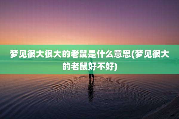 梦见很大很大的老鼠是什么意思(梦见很大的老鼠好不好)