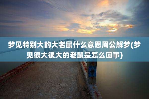 梦见特别大的大老鼠什么意思周公解梦(梦见很大很大的老鼠是怎么回事)