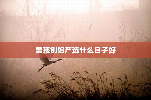 男孩刨妇产选什么日子好