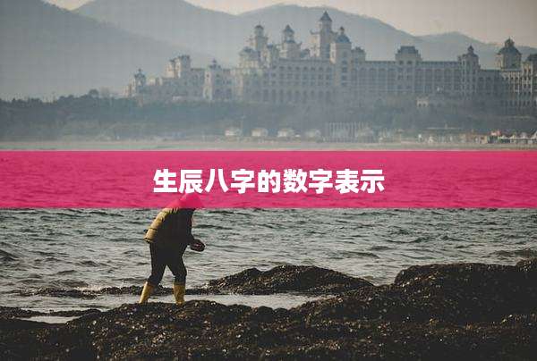生辰八字的数字表示