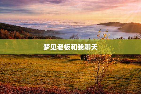 梦见老板和我聊天