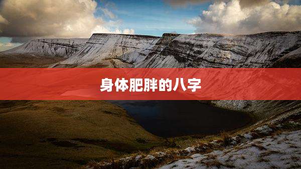 身体肥胖的八字