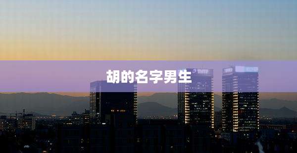 胡的名字男生