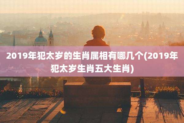 2019年犯太岁的生肖属相有哪几个(2019年犯太岁生肖五大生肖)