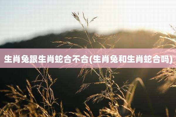 生肖兔跟生肖蛇合不合(生肖兔和生肖蛇合吗)