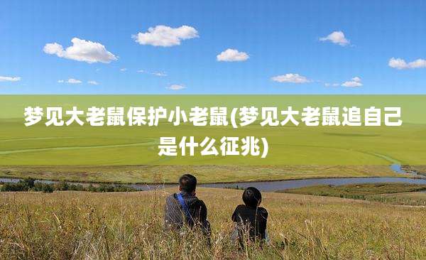 梦见大老鼠保护小老鼠(梦见大老鼠追自己是什么征兆)