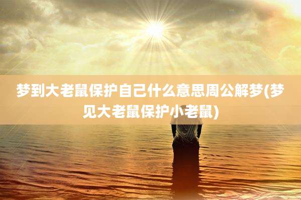 梦到大老鼠保护自己什么意思周公解梦(梦见大老鼠保护小老鼠)