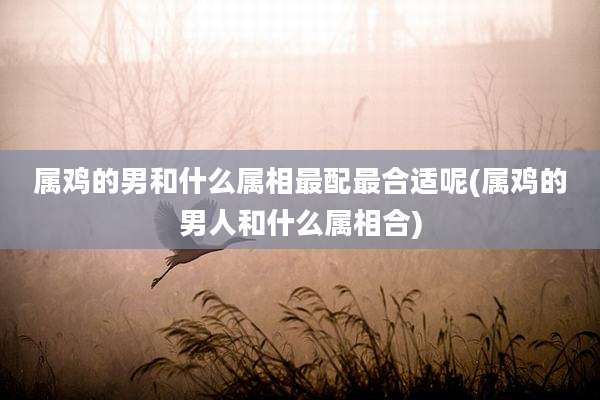 属鸡的男和什么属相最配最合适呢(属鸡的男人和什么属相合)