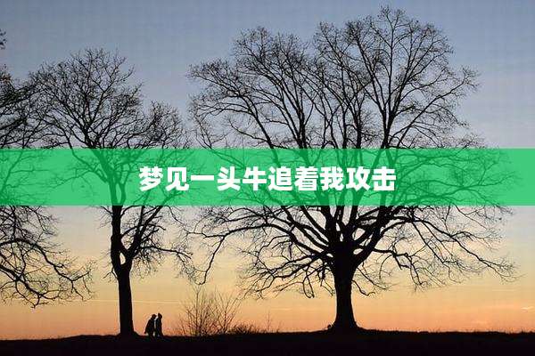 梦见一头牛追着我攻击