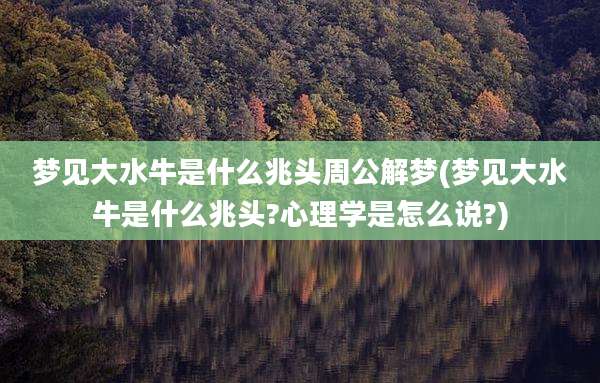 梦见大水牛是什么兆头周公解梦(梦见大水牛是什么兆头?心理学是怎么说?)